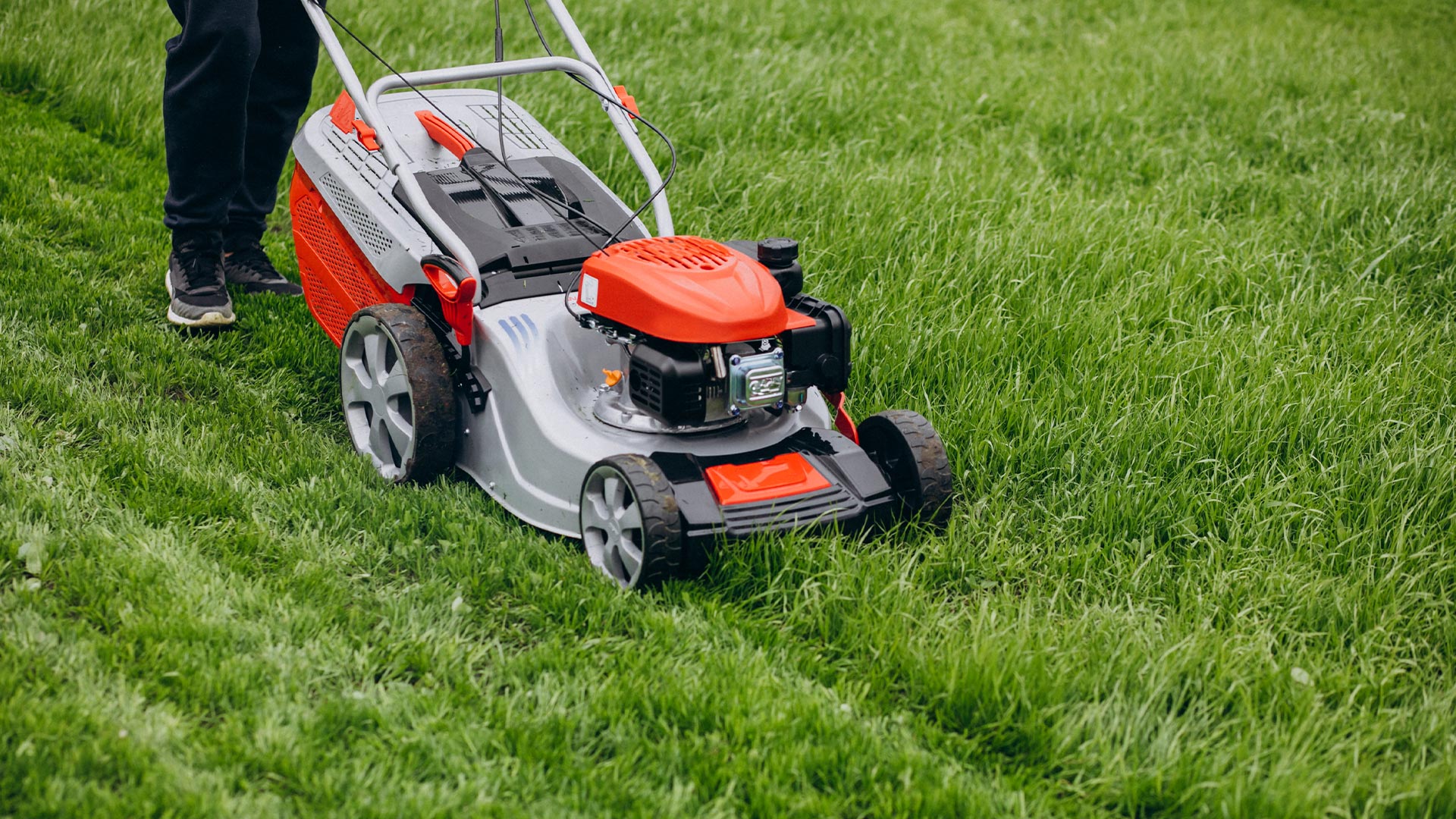 Best Practices in Landscaping for Foreclosed Properties